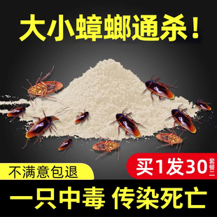 小强非绝杀 蟑螂药灭蟑螂神器除蟑螂粉家用非无毒非一窝全窝端正品
