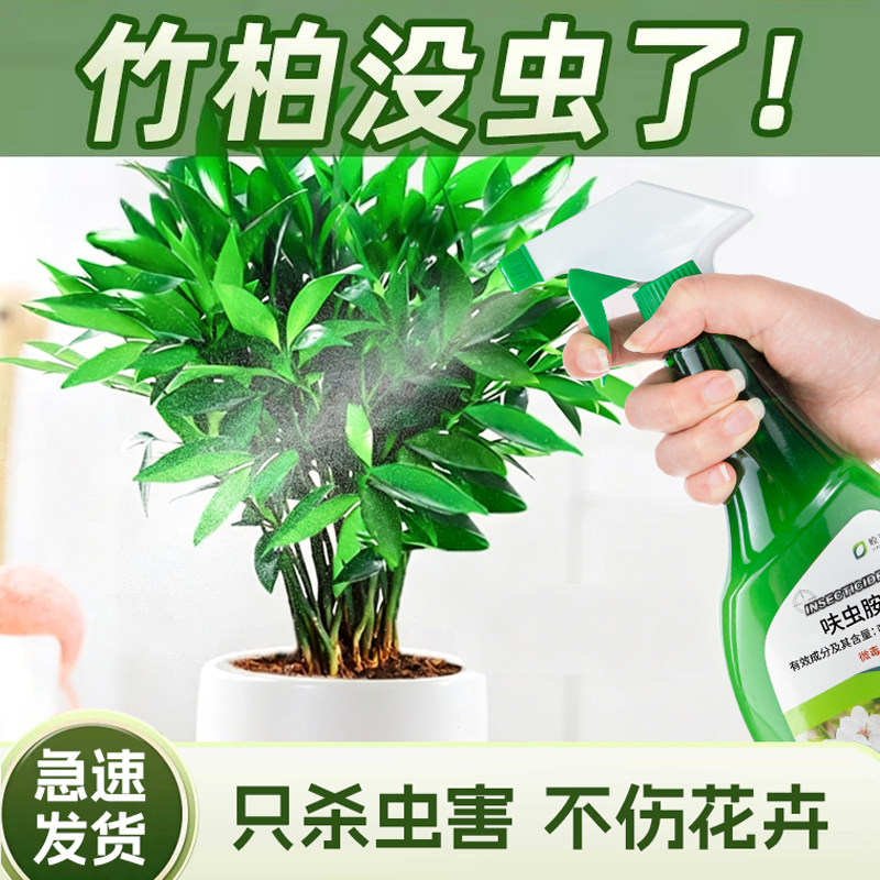 竹柏杀虫剂驱蚊竹平安竹长寿竹杀虫剂非专用蚜虫介壳虫红蜘蛛可用