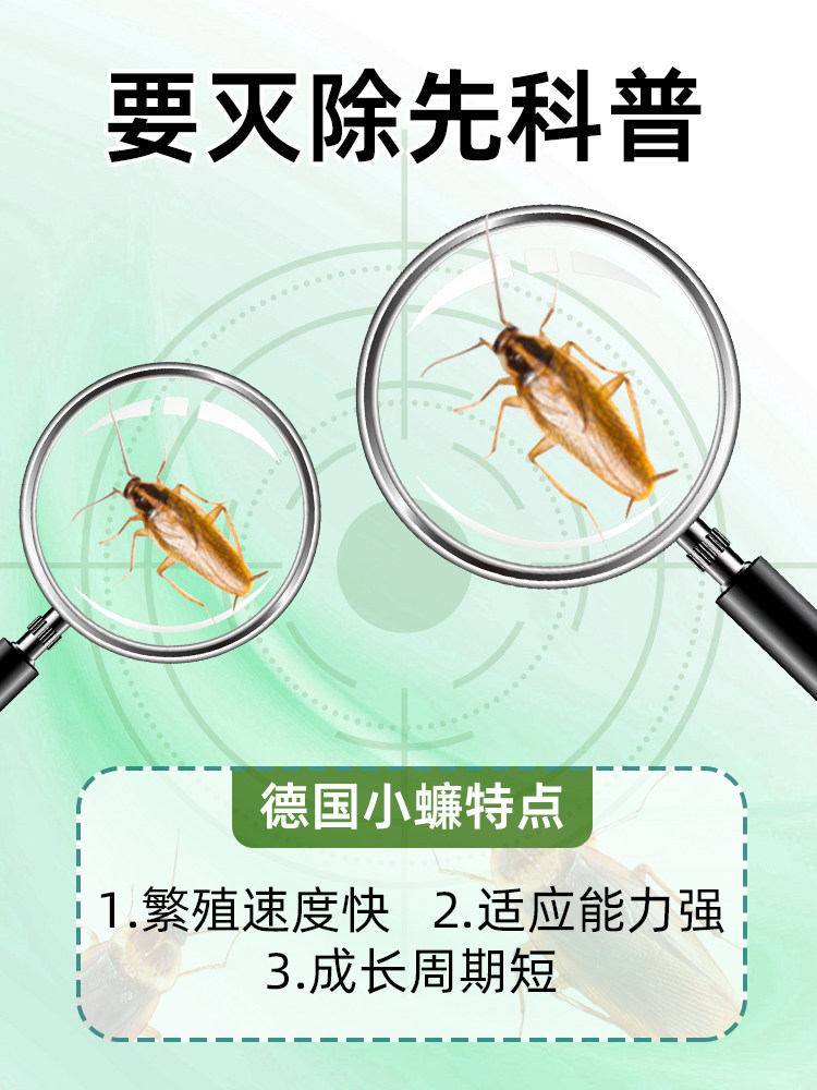 德国小蠊专杀蟑螂药家用餐厅专用饭店神器灭杀除喷雾非无毒全窝端