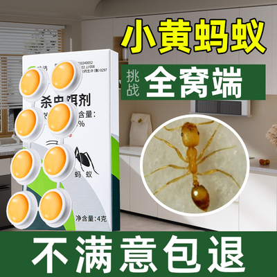 一只中毒传染死亡小黄蚂蚁全窝灭