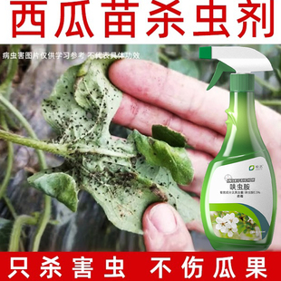 西瓜苗杀虫药防虫蚜虫红蜘蛛油汗虫潜叶蝇结线虫泥土杀虫剂农用药