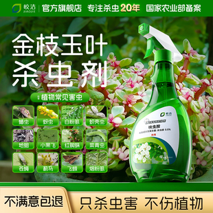金枝玉叶杀虫剂专用打虫药驱虫长虫灭虫生用药虫药蚧壳虫除虫子长