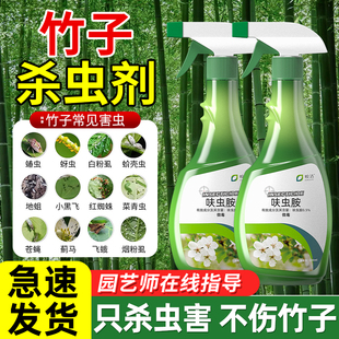 竹子专用杀虫打虫药灭竹虫生竹林竹叶用药有虫长虫子腻虫簕竹米上