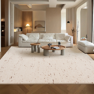 防水简约现代客厅地毯轻奢奶油中古风高级感卧室家用免洗可擦地垫