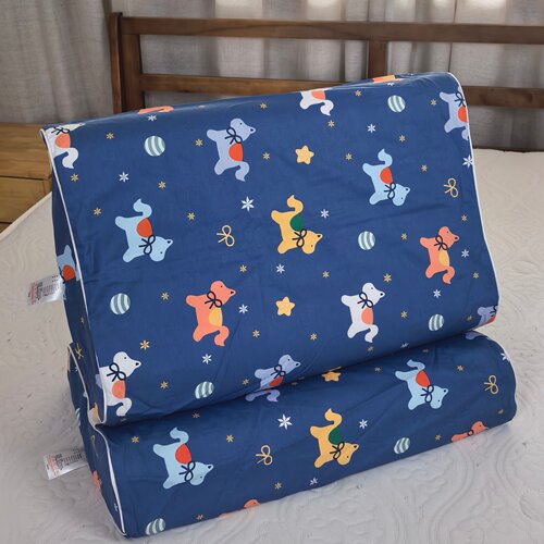 纯棉乳胶枕套50X30儿童记忆成人60X30枕头套35X55中号一对拉链口