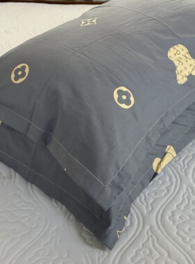 纯棉枕套一对100%全棉内径48*74大号50X80单人儿童小枕头套40*60