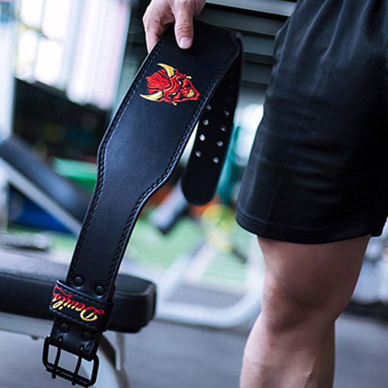 devil专业健身护腰带新品上新