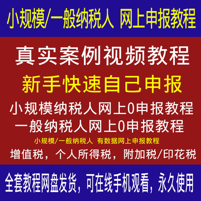 小规模一般纳税人网上0零申报报税视频教程实操开票教程资料