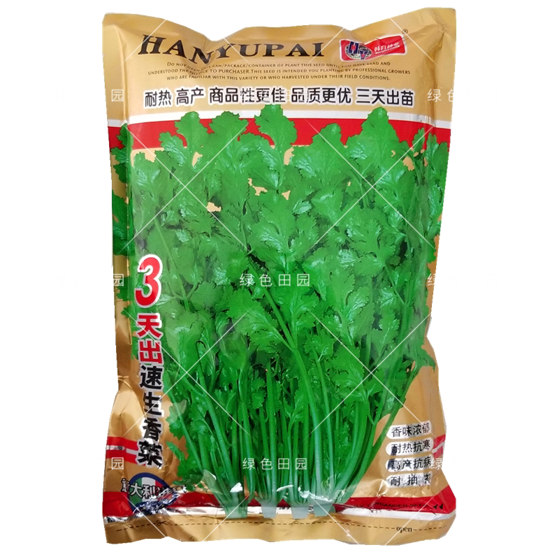 意大利进口 3天出速生大叶香菜种子耐热高产春秋四季蔬菜芫荽籽孑