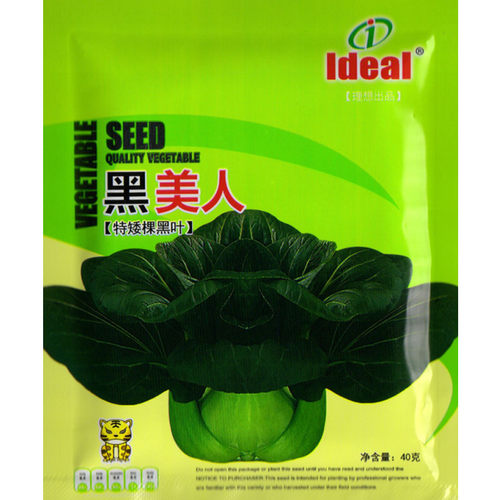 黑美人苏州青抗热耐寒鲜嫩可口