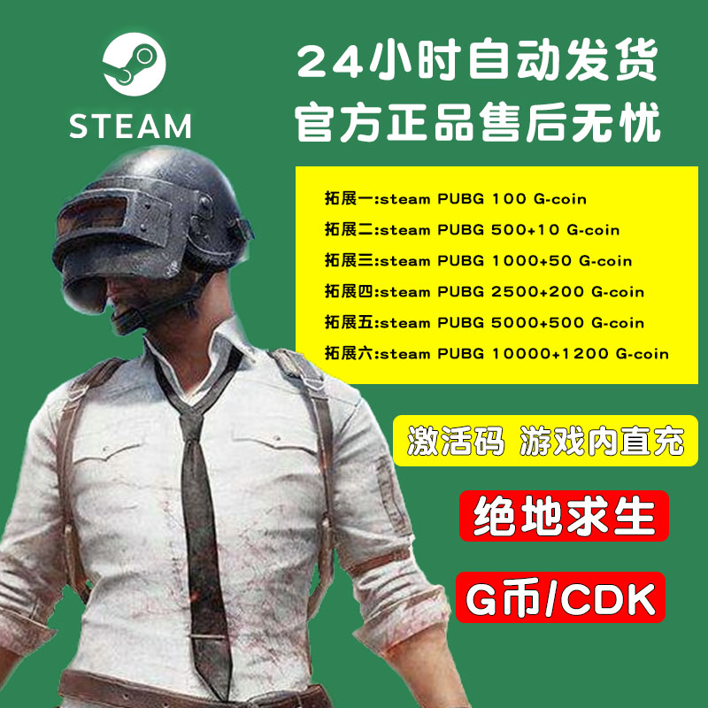 steamPUBGG币兑换码CDK