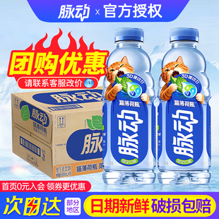 脉动猫薄荷瓶风味限定口味600ml*15瓶电解质维生素饮料整箱包邮