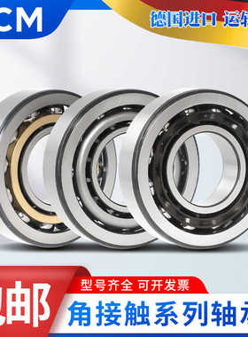 进口PCM轴承N NU NJ NUP 2316 2317 2318 2319 EC ECM ECJ ECP C3