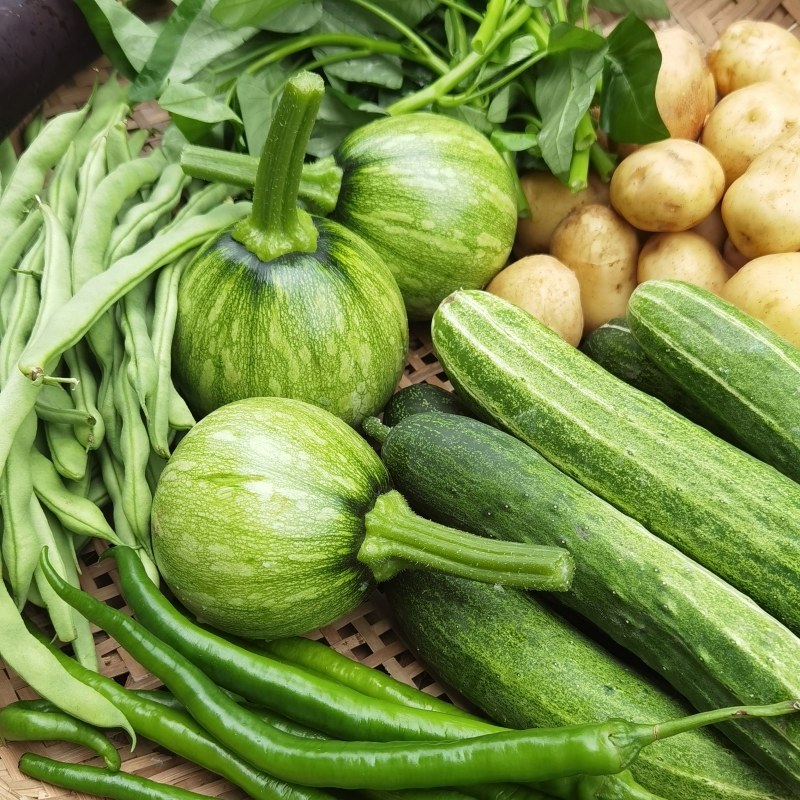 组合菜农家菜新鲜蔬菜混搭丝瓜辣椒苦瓜四季豆茄子豇豆黄瓜素瓜豆