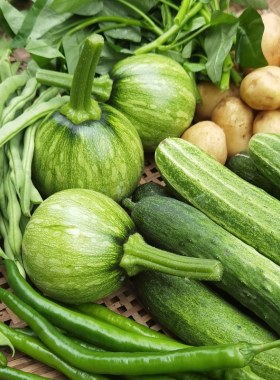 组合菜农家菜新鲜蔬菜混搭丝瓜辣椒苦瓜四季豆茄子豇豆黄瓜素瓜豆