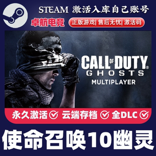 Steam正版 使命召唤10幽灵 激活码CDKEY入库 全球区 全DLC