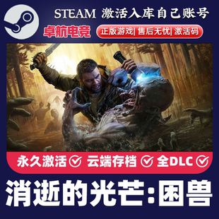 CDKEY兑换码 消逝 steam游戏全球区国区激活码 困兽 电脑游戏 光芒