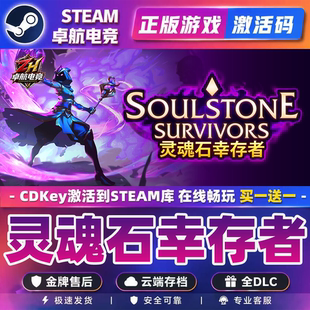 灵魂石幸存者正版Steam激活码CDKey入库Soulstone Survivors全DLC