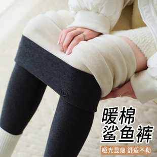 女外穿秋冬季 秋裤 2025新款 保暖棉裤 高腰收腹棉感鲨鱼裤 加绒打底裤