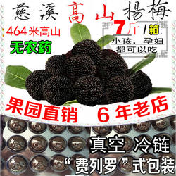 宁波慈溪余姚高山杨梅新鲜现摘孕妇当季鲜果东魁荸荠黑炭杨梅冷链