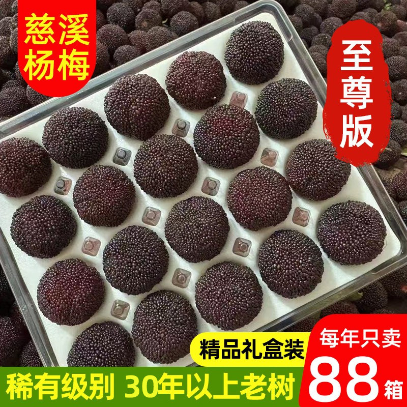 送礼首选至尊级新鲜杨梅荸荠种宁波慈溪高山杨梅高端礼盒装