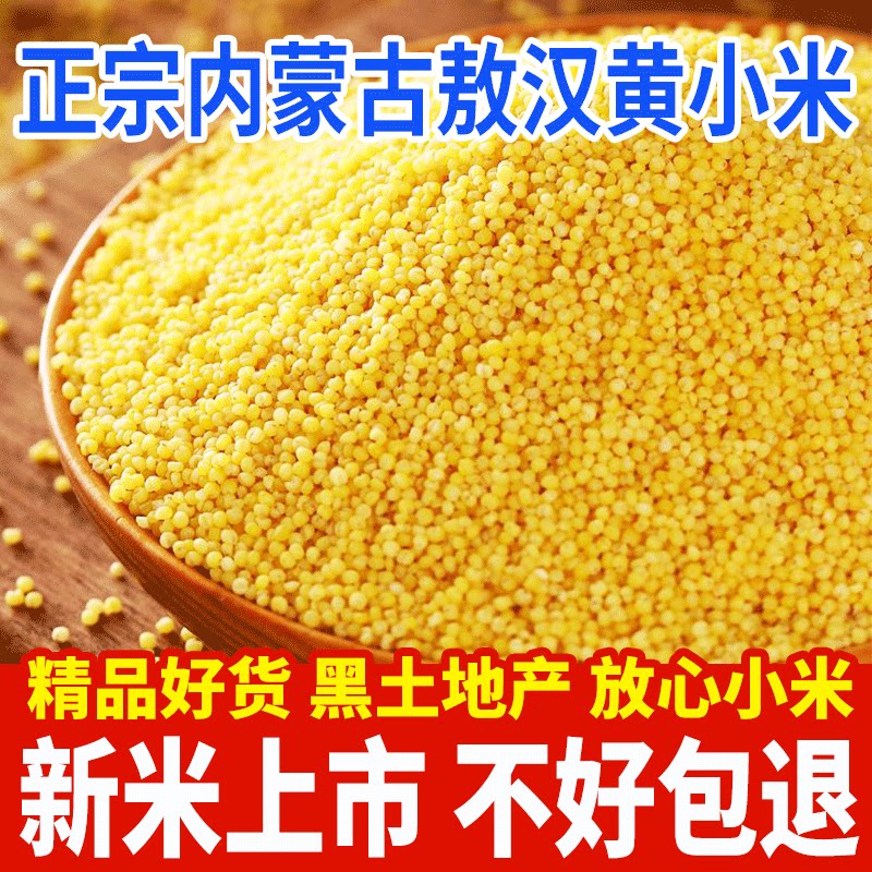优质金色小米黄小米粥新米五谷杂粮正宗农家小黄米早餐营养粥食材