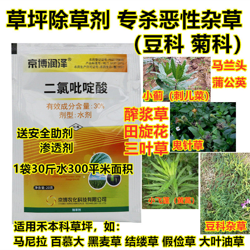 草坪酢浆草灰灰菜小蓟刺儿菜鬼针草菊科豆科杂草除草剂二氯吡啶酸