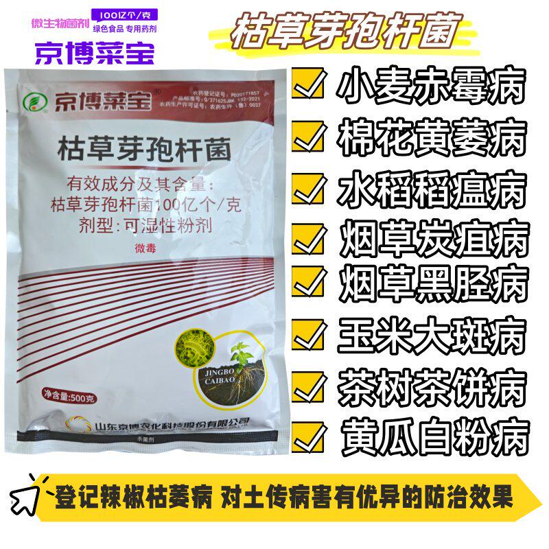 绿色食品土壤杀菌枯草芽孢杆菌根腐病青枯枯萎病京博菜宝生物菌剂