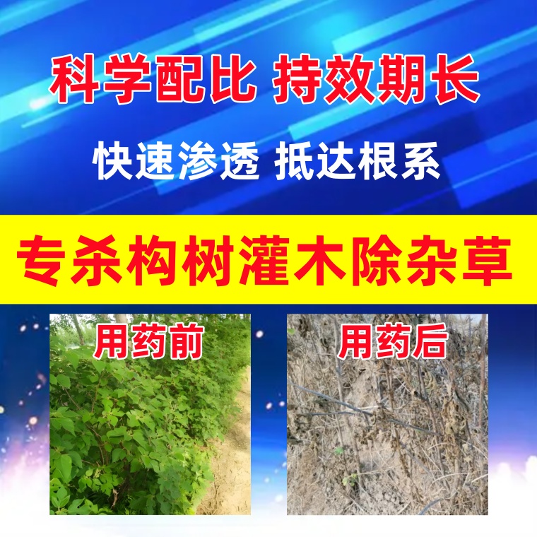 除草剂杀树剂杀构树烂根药