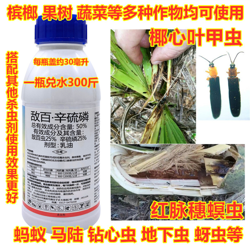 红脉穗螟槟榔椰心甲虫钻心虫蚂蚁马陆辛硫磷敌百虫地下害虫杀虫剂