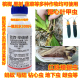 红脉穗螟槟榔椰心甲虫钻心虫蚂蚁马陆辛硫磷敌百虫地下害虫杀虫剂