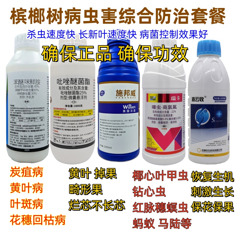 槟榔树黄叶病椰心甲虫钻心虫烂芯不长芯畸形果苯甲咪鲜胺吡唑脂