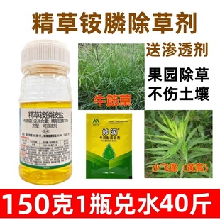 150克精草铵膦除草剂牛筋草一扫小飞蓬光烂根果树槟榔园茶树地药