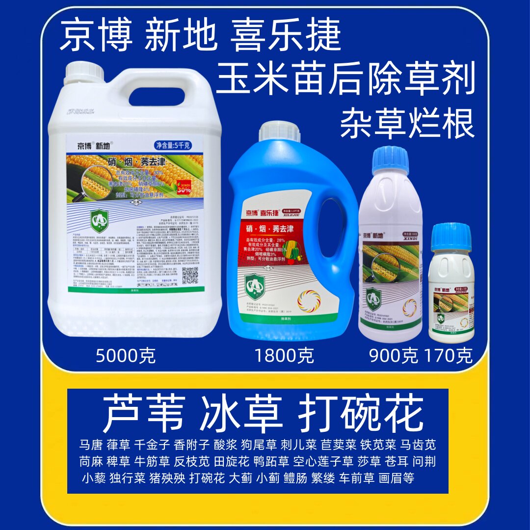 京博玉米苗后除草剂杀芦苇冰草打碗花牛筋草苞米地田旋花杀小麦苗