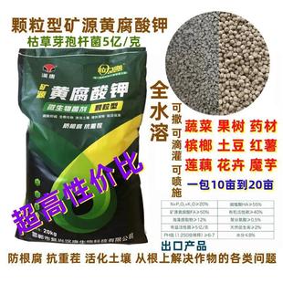 矿源黄腐酸钾颗粒型枯草芽孢杆菌微生物菌剂土壤板结根瘤菌重茬病