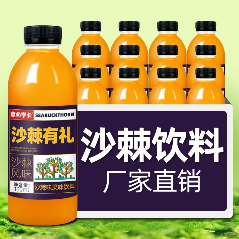 沙棘汁果汁果味饮料整箱24瓶360ml网红原浆风味饮品小瓶装好喝