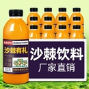 沙棘汁果汁果味饮料整箱24瓶360ml网红原浆风味饮品小瓶装 好喝