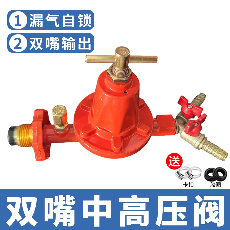可调双嘴防爆高压阀煤气阀一拖二中压减压阀液化气燃气中高压低压