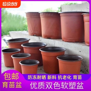 双色花盆种植育苗盆塑料盆培育盆苗盘移植盆营养钵育苗杯多肉扦插