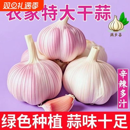 【突破底价】山东优质紫皮大蒜头批发农家新鲜干蒜紫白皮直销包邮