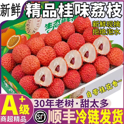 顺丰当天现摘桂味荔枝礼盒装爆甜