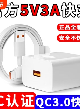 全兼容5V3A充电器散热器适配器35W按摩器电热垫15W保温碗保温壶插头充电宝通用typec数据线6A正品电源