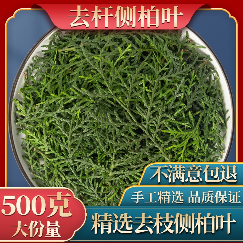 旗舰店正品秦岭野生现采新鲜侧柏叶阴干侧柏叶粉洗头生发乌发防脱