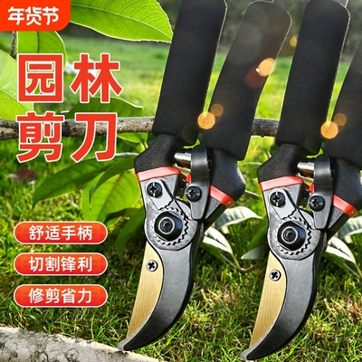 多功能剪枝剪刀强力花艺果树修剪