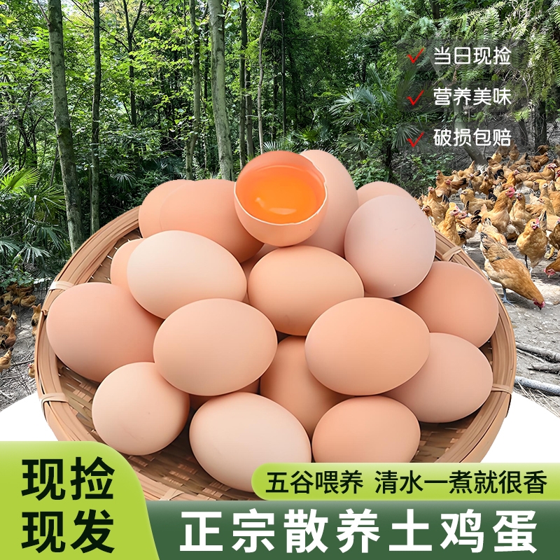 正宗土鸡蛋农家散养鲜鸡蛋笨鸡蛋柴鸡蛋谷物喂养40-50g/枚多规格
