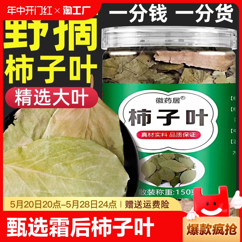 精选柿子叶大片更管用