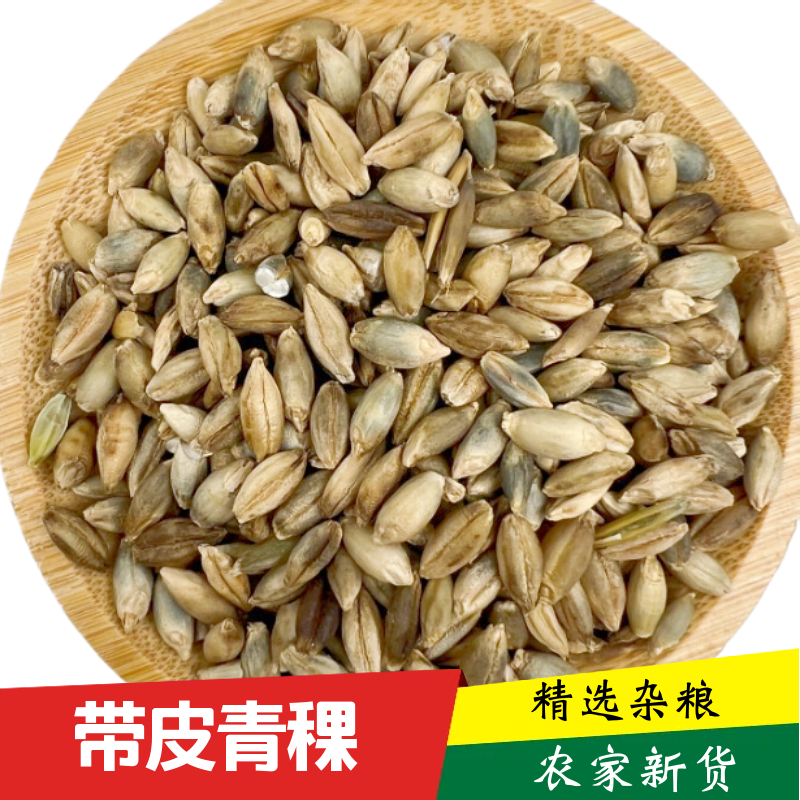高原带皮青稞米新米农家优质青稞米特产五谷杂粮新粗粮蓝青稞膳食