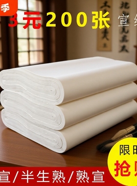 宣纸书法专用纸半生半熟对开纸100张四尺国画工笔画学生熟宣写毛笔字练习用作品纸半生熟四开六尺三开三尺