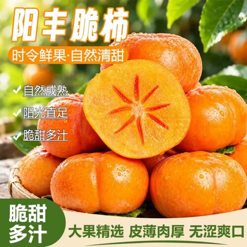 水果柿子巧克力脆柿子冰糖心甜脆