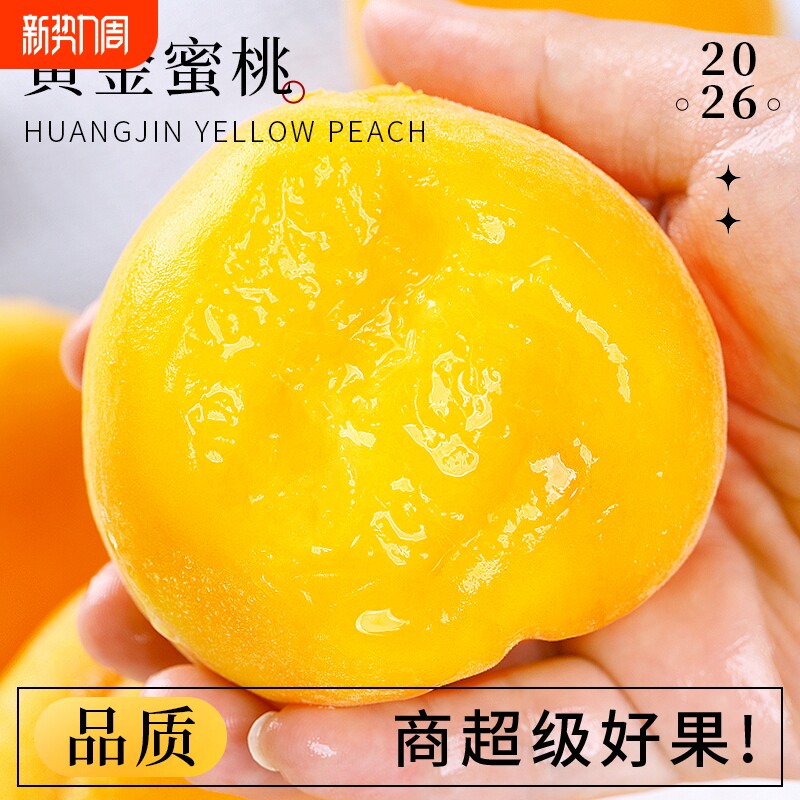 正宗黄金蜜黄桃自然熟爆汁甜桃现摘现发5斤大果时令鲜果顺丰包邮